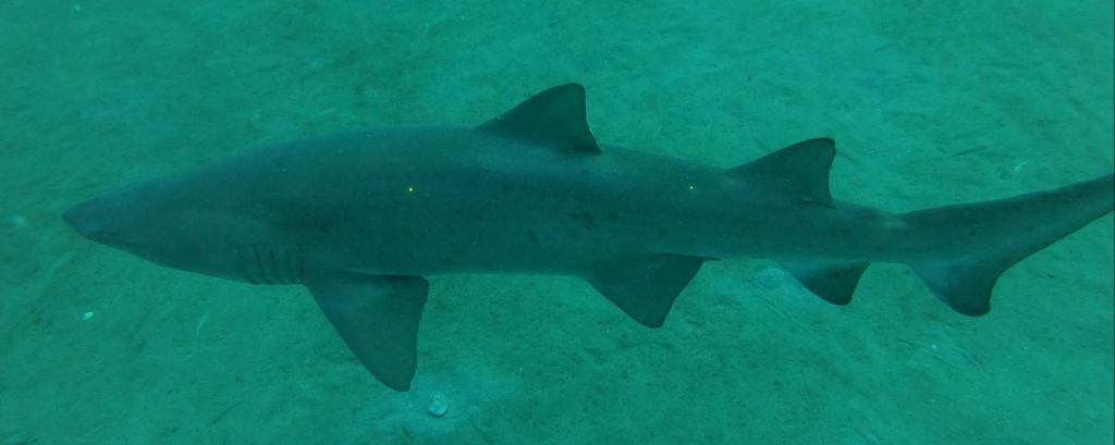 bc31e226-173f-4244-a094-a35132706b9b