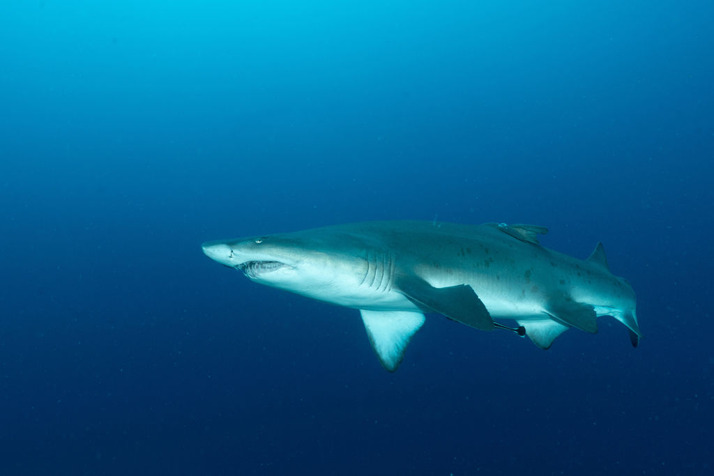 3c805df8-4b64-4d84-ad53-40ed598e423f