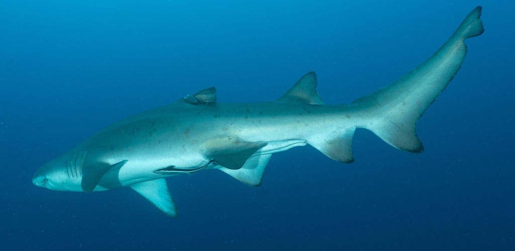 3c805df8-4b64-4d84-ad53-40ed598e423f