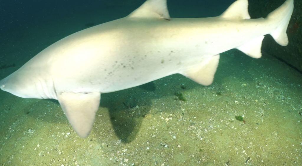 635780a7-4d44-4a62-ac93-b0c7e2fbe69b