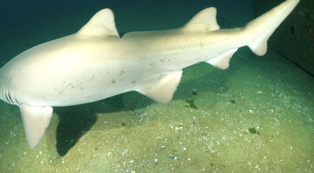 635780a7-4d44-4a62-ac93-b0c7e2fbe69b