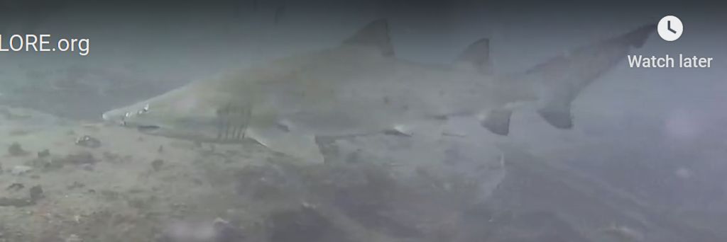 96fed370-22f7-46a0-a01d-b3b8fb035760