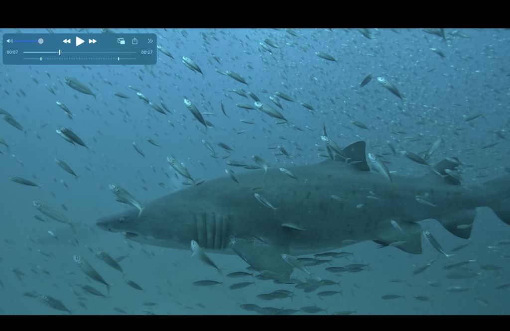 b17c7f61-cd57-4dc4-a773-303e8afbcd99