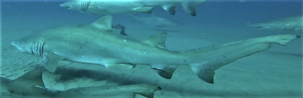 b6c52719-043e-450f-bc2c-4a9b5f486b80