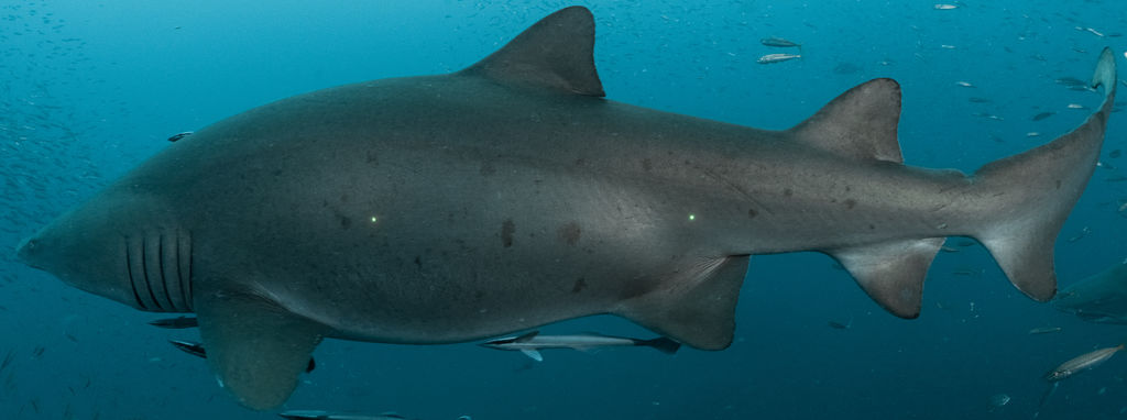 a96359ee-84f7-491d-a61a-84754828a045