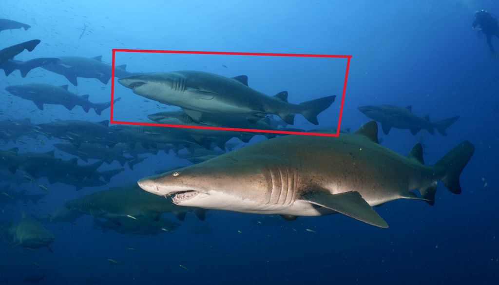 58194202-f662-4ff8-89e6-6b45200c75b9