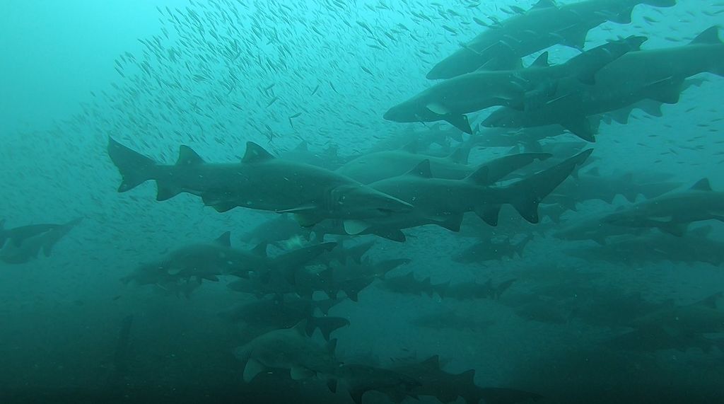 1780255a-5013-4874-b0cc-7dbcf8bc3e0b