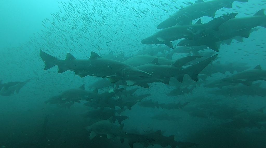 1780255a-5013-4874-b0cc-7dbcf8bc3e0b