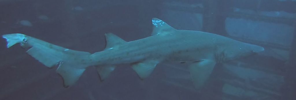 2f016af6-bd9a-4034-972f-c2b8f0342dbd