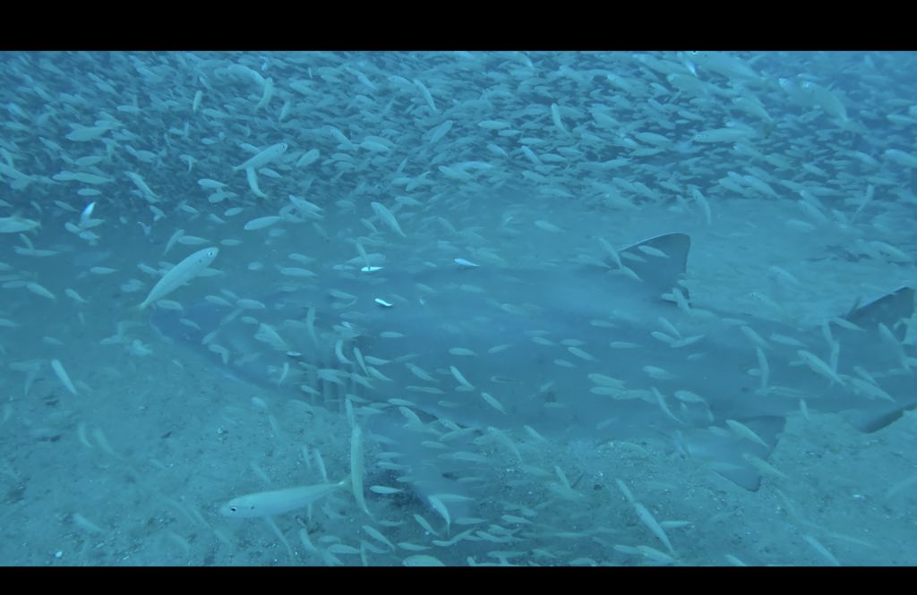 ef75976d-ed84-434f-b0cc-f979b6af1e4a