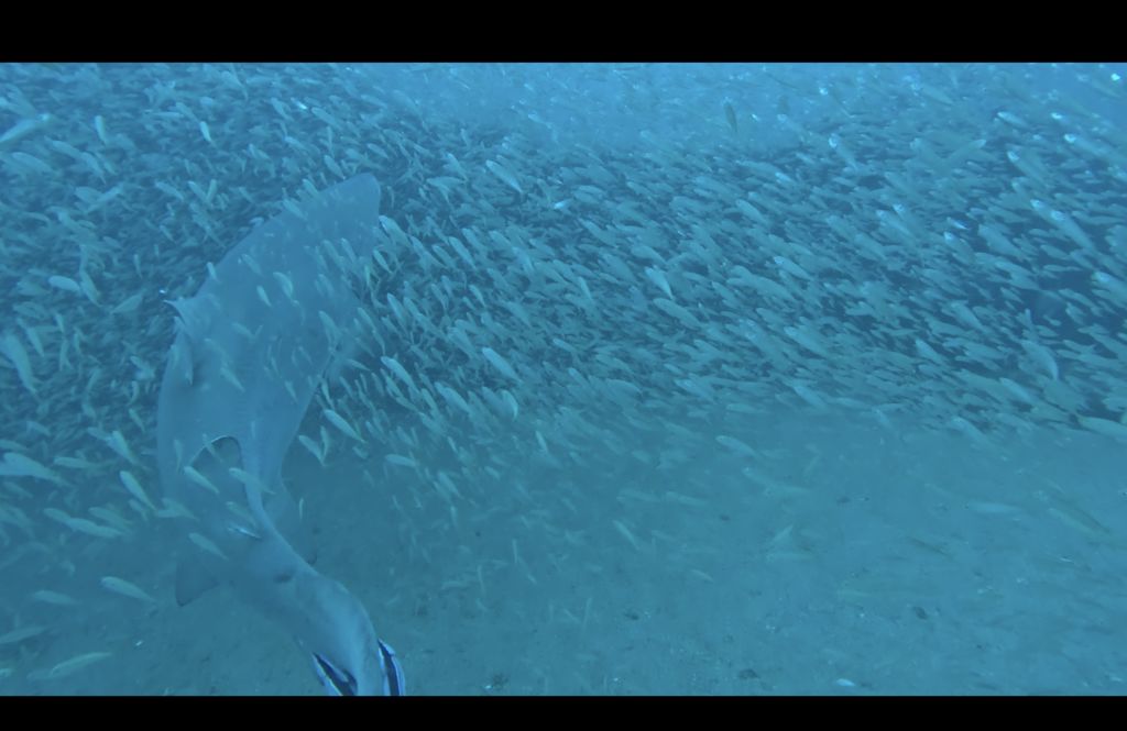 ef75976d-ed84-434f-b0cc-f979b6af1e4a