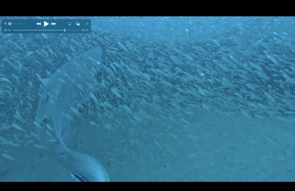 ef75976d-ed84-434f-b0cc-f979b6af1e4a