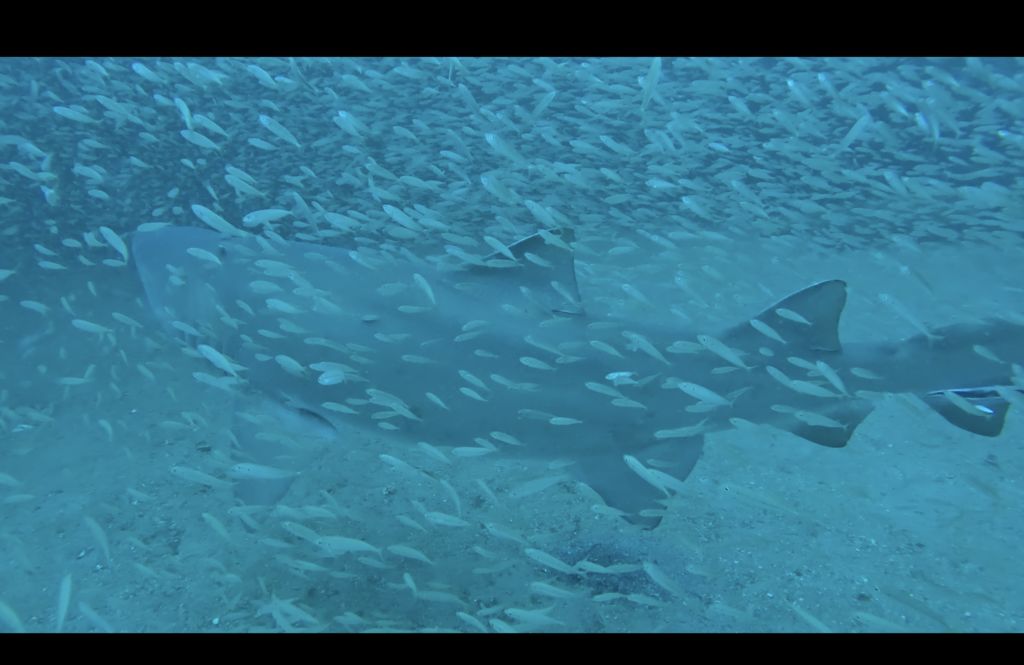 ef75976d-ed84-434f-b0cc-f979b6af1e4a