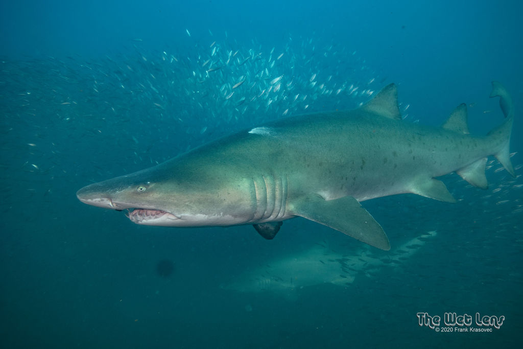 5fa078bd-0312-4cb1-8f73-208deedc6780