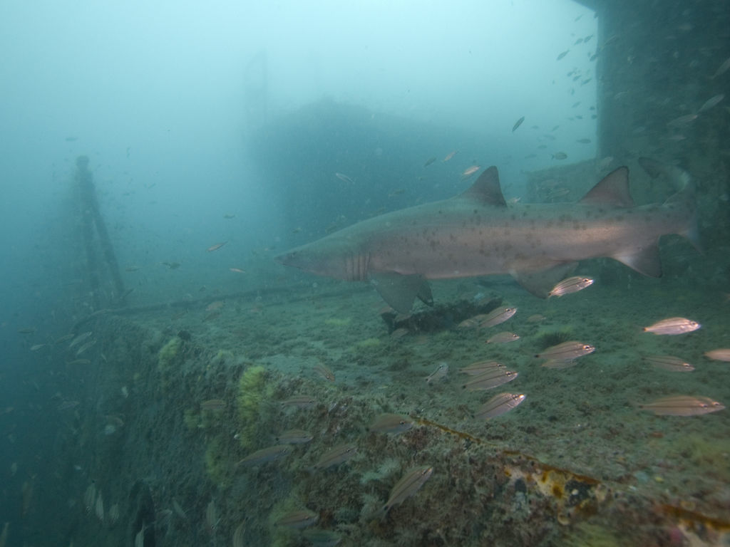 d696eb78-2d30-4250-85e1-285d8ff3786a