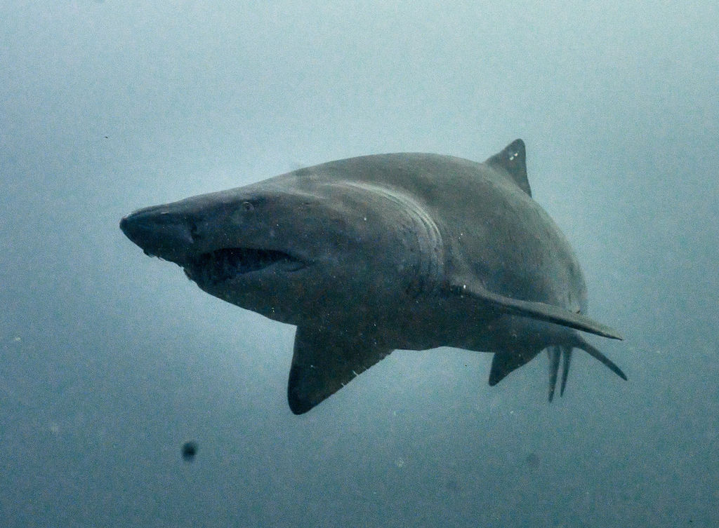 6f779886-adf1-4d47-bb05-1fb55e3032ff