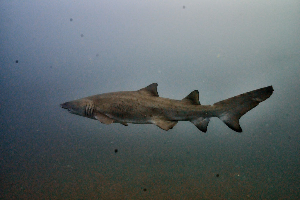 6f779886-adf1-4d47-bb05-1fb55e3032ff