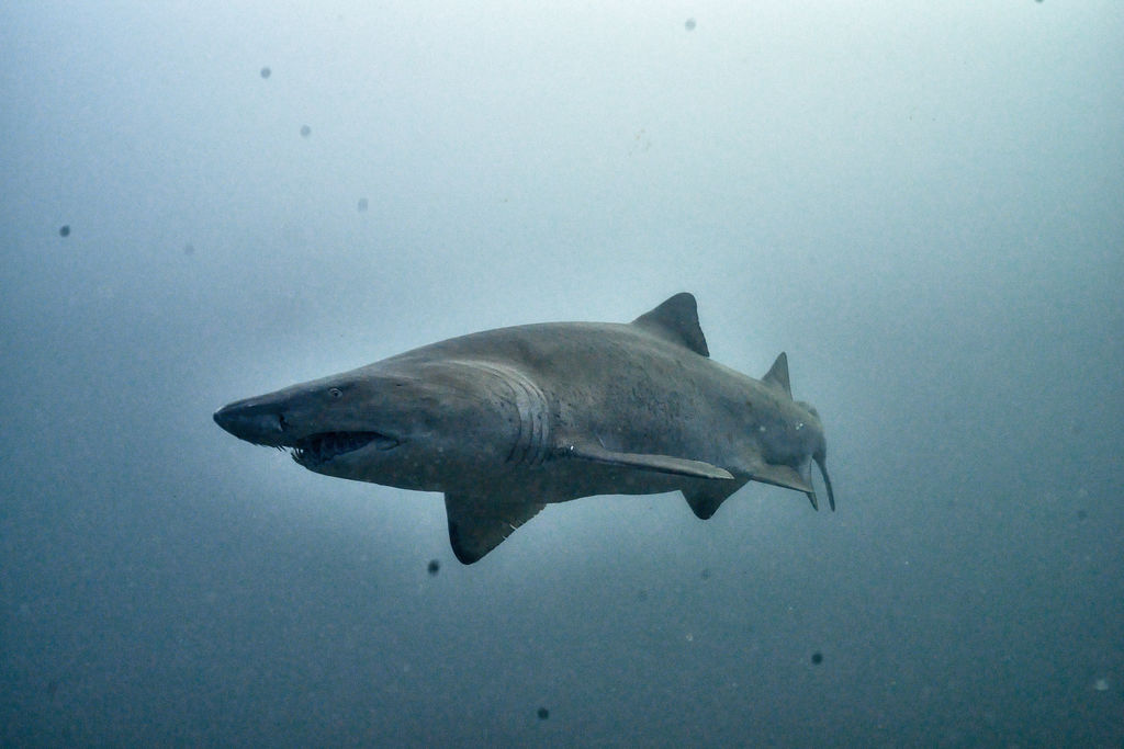 6f779886-adf1-4d47-bb05-1fb55e3032ff