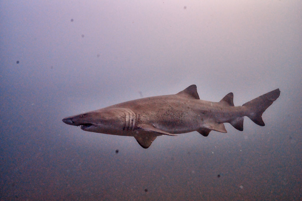 6f779886-adf1-4d47-bb05-1fb55e3032ff