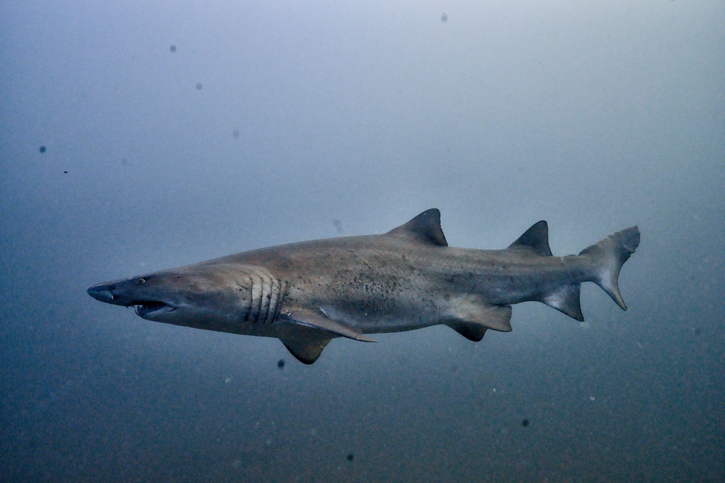 6f779886-adf1-4d47-bb05-1fb55e3032ff