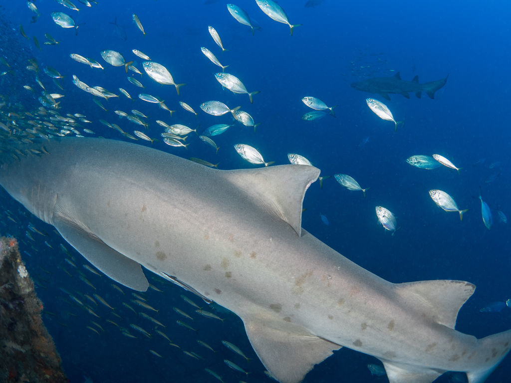 260ab69d-1380-4c6b-9d8a-3de9c824ee7b