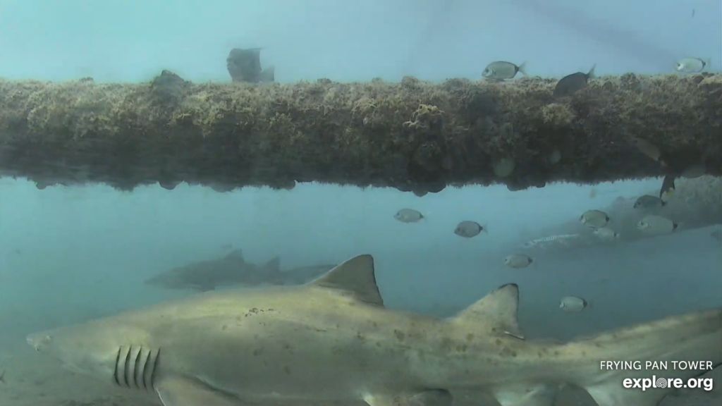 30ad64a9-93aa-4bd2-a222-950de0180b97