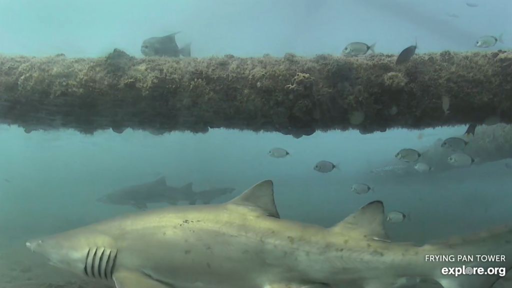 30ad64a9-93aa-4bd2-a222-950de0180b97