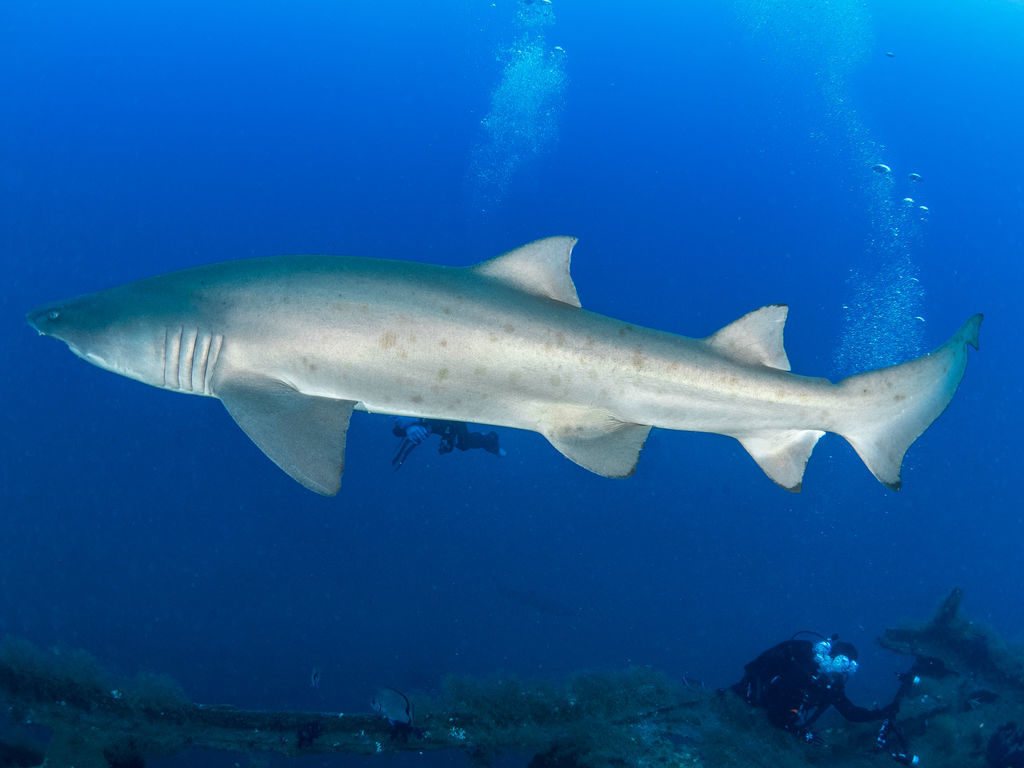 640d2a7c-773f-4f94-b1ce-b7d98d715167