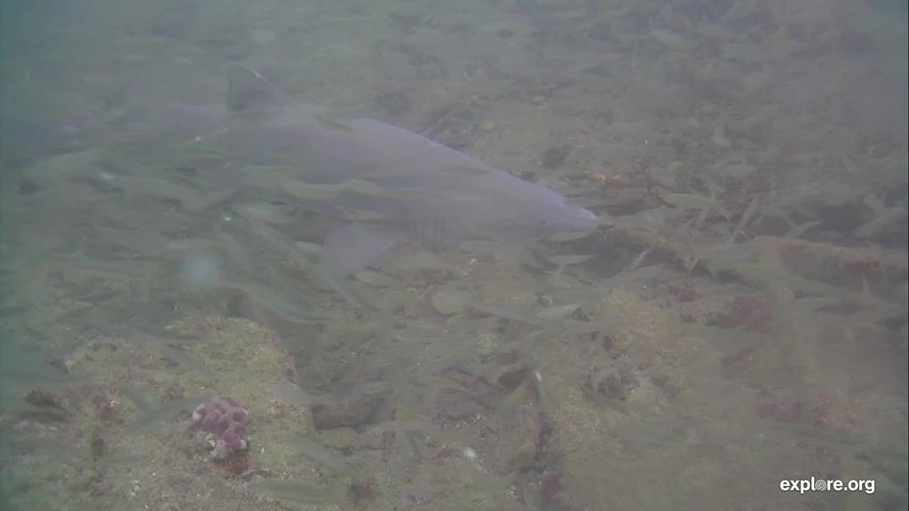 81af4ba8-9377-4c11-b9c8-98ea345e2ec5