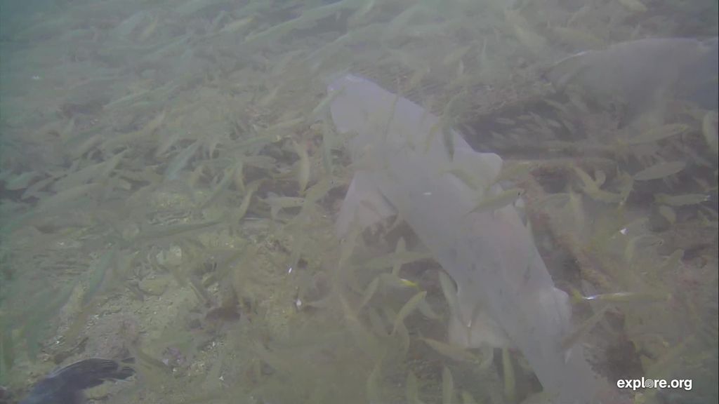 81af4ba8-9377-4c11-b9c8-98ea345e2ec5