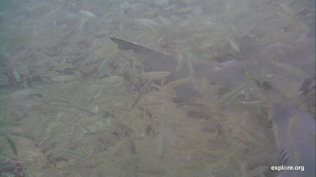 81af4ba8-9377-4c11-b9c8-98ea345e2ec5