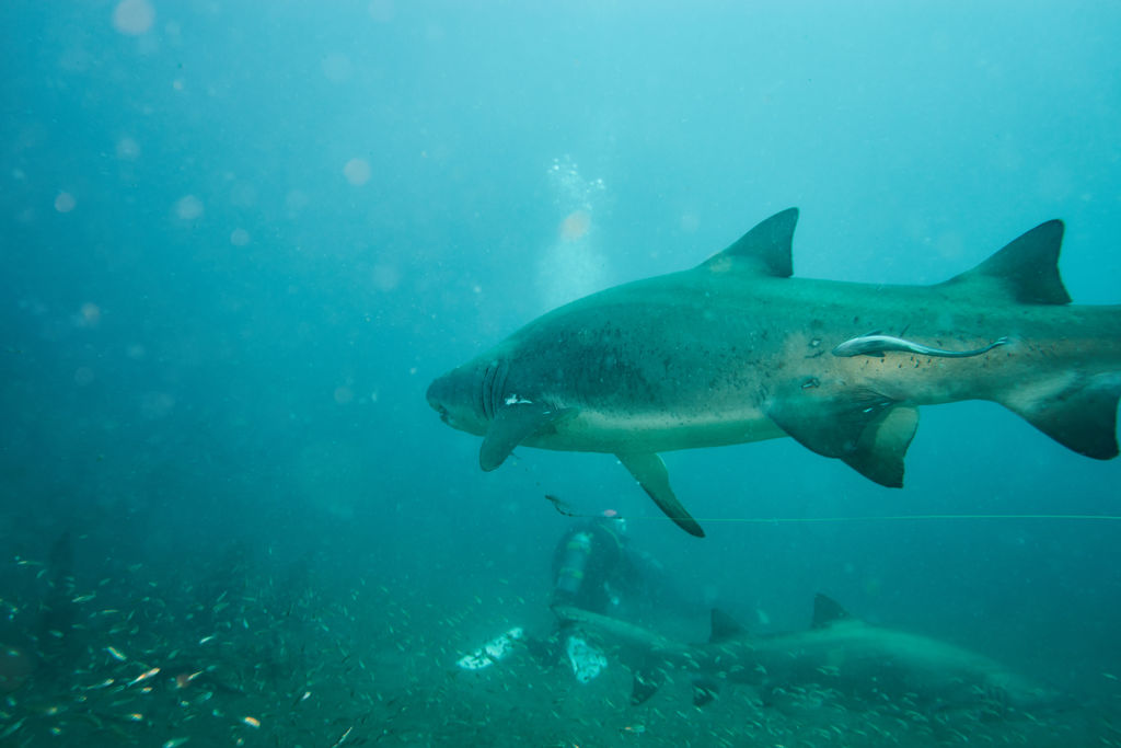 16437c86-3a04-48b1-a0cd-764e20d3c4be