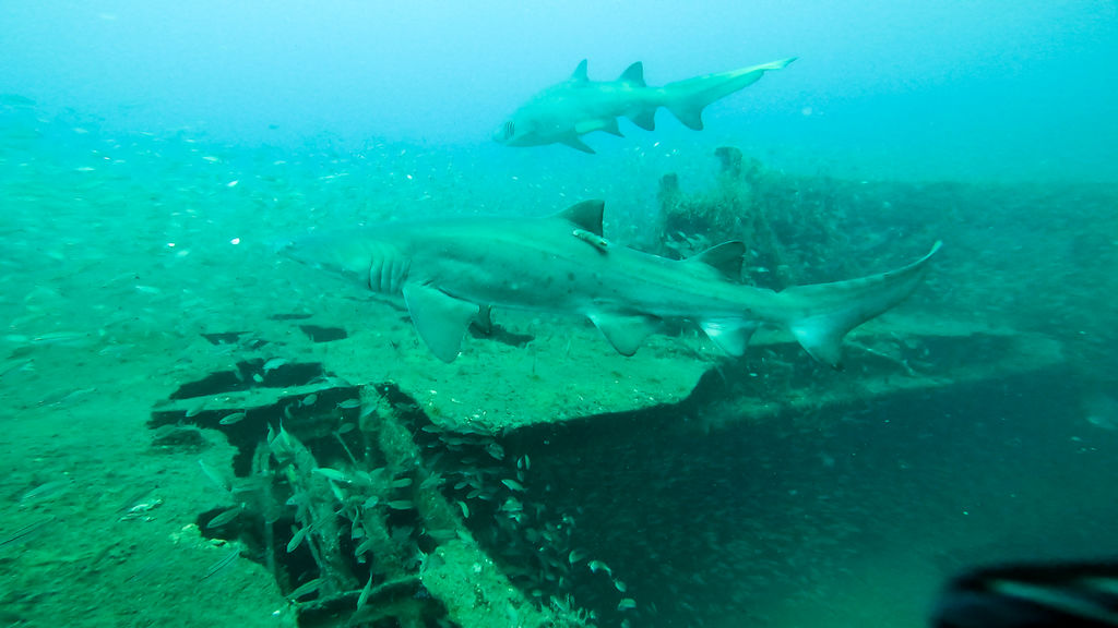 5123b9f5-a2e4-48c2-977c-ed7f6575be0c