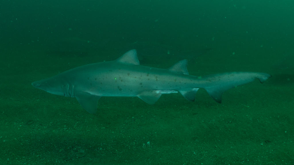 742da2b2-5f11-4c54-9be2-8c2e0553f5a2