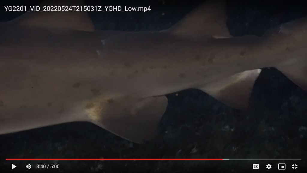 66505cc1-1059-4ab7-bc22-79472822ad00