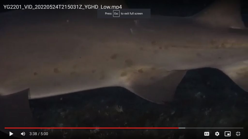 66505cc1-1059-4ab7-bc22-79472822ad00