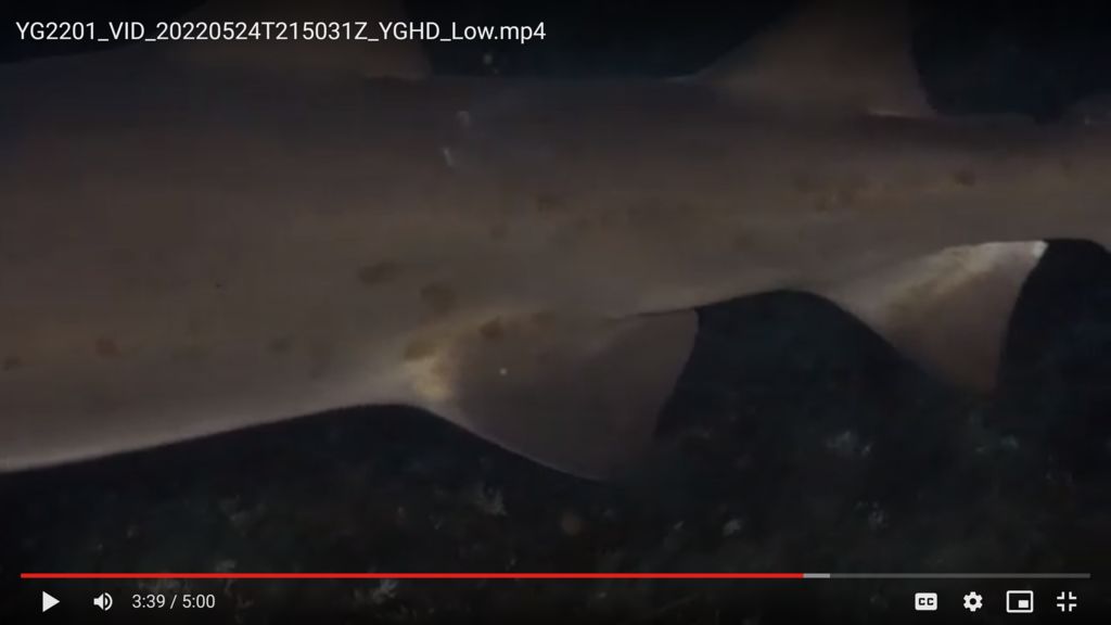 66505cc1-1059-4ab7-bc22-79472822ad00