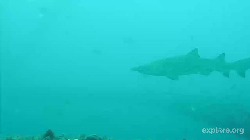 324d2441-3adf-42ec-9ae7-e2389bf3d079