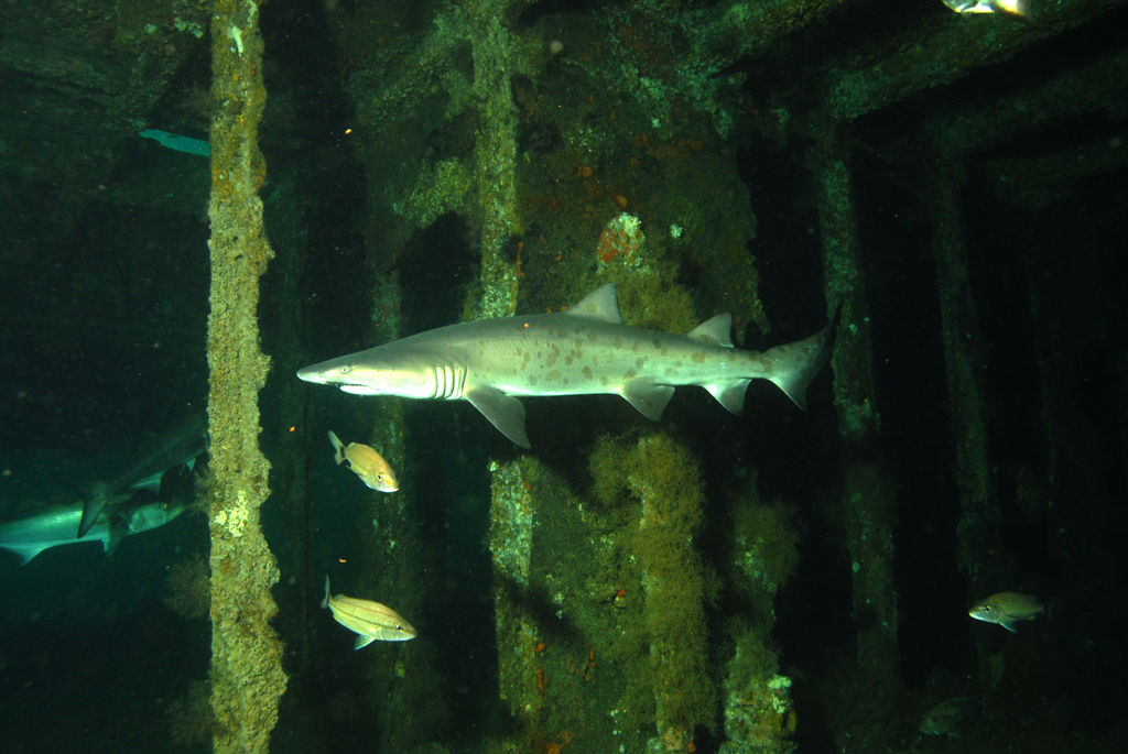 3c11bb39-cc62-404a-8ae7-8b042a2afdf6