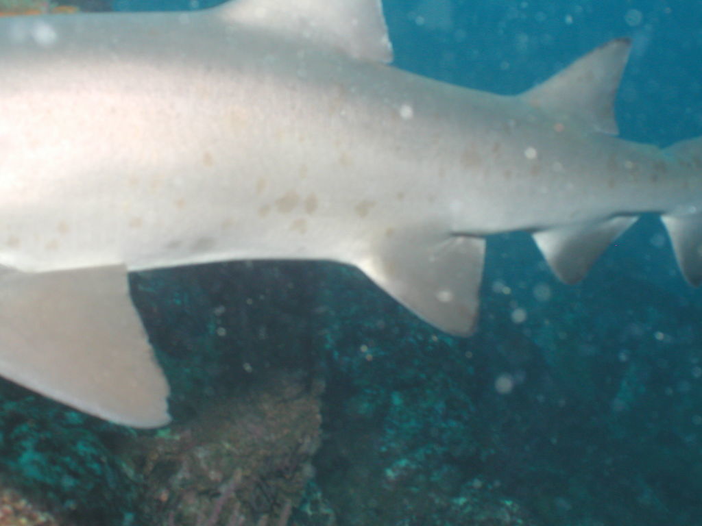 2ca138e2-998f-416b-9e05-a040dcfab9f9