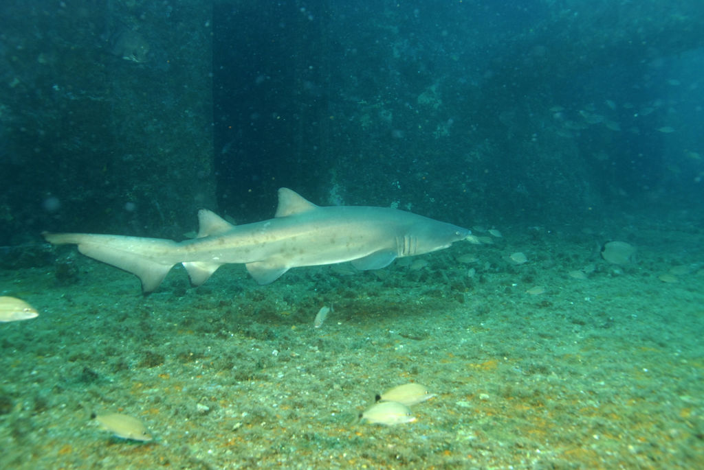 164b5b28-b8c0-4fc2-95b2-7f7d3a672c68