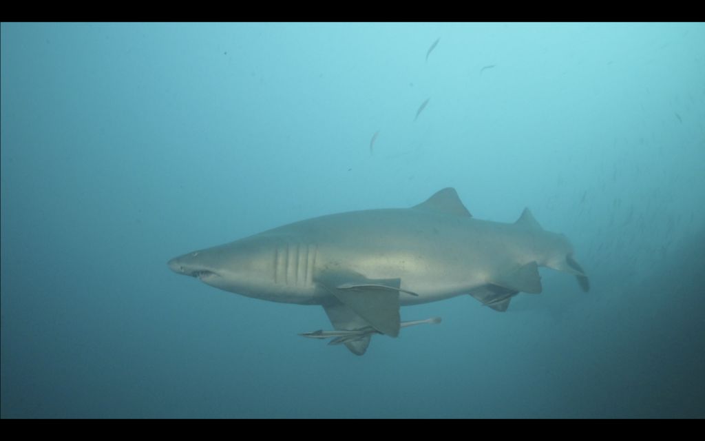 a466c8e2-cde1-4d05-81de-9676f6cf928f