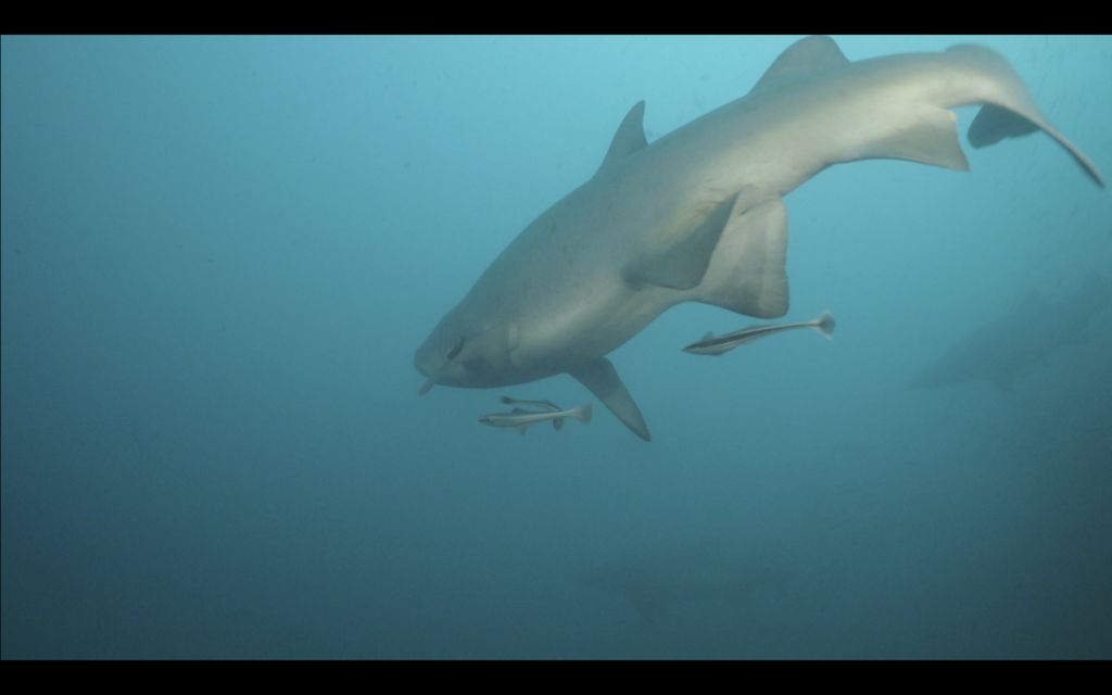 a466c8e2-cde1-4d05-81de-9676f6cf928f