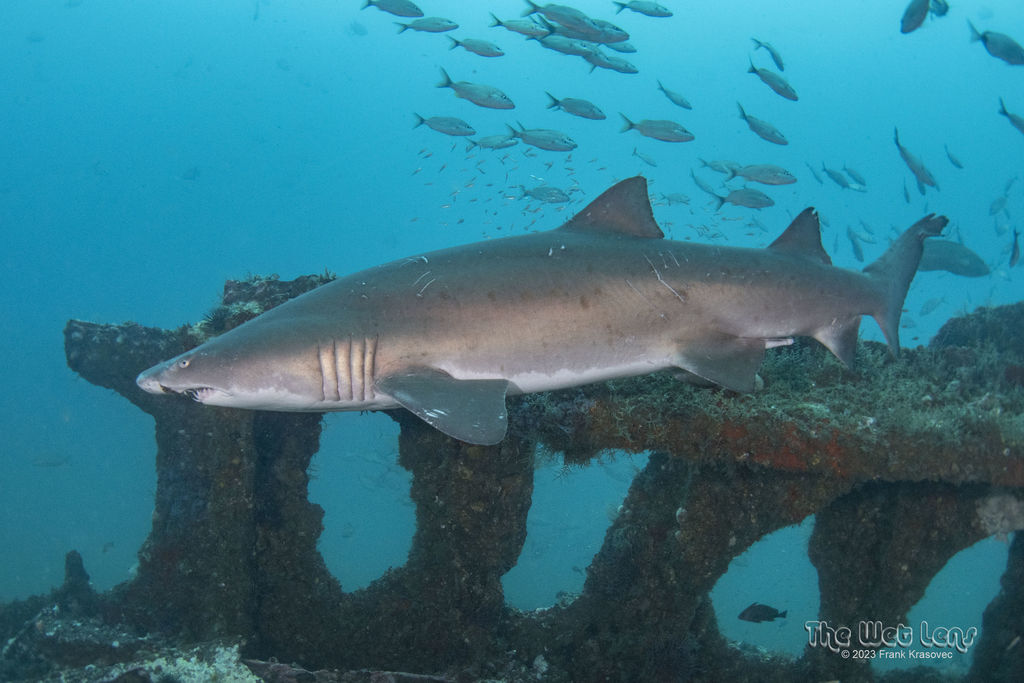 35fe88bb-29cf-4fe0-b93d-85c224b6a3e6