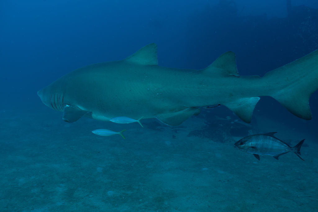 bd8bdedc-748d-497d-811f-93bfa94879c3