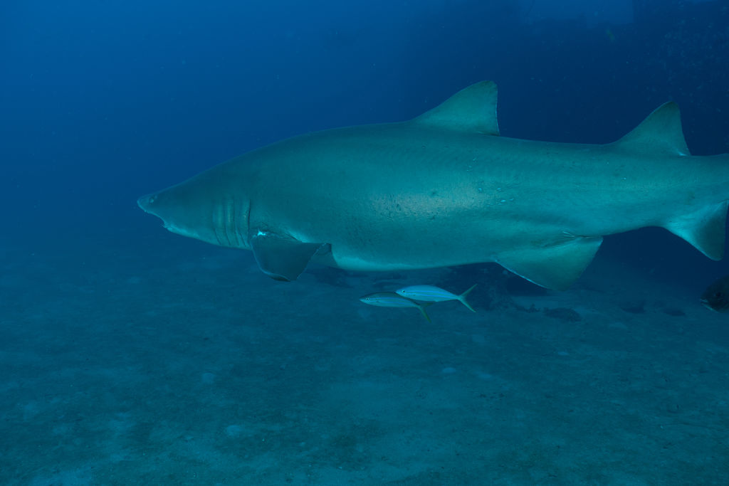 bd8bdedc-748d-497d-811f-93bfa94879c3