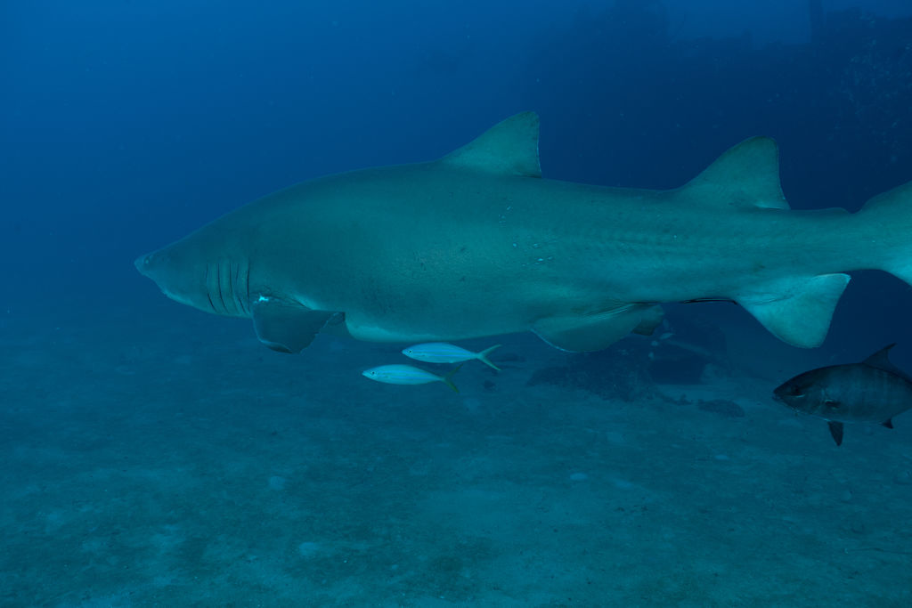 bd8bdedc-748d-497d-811f-93bfa94879c3