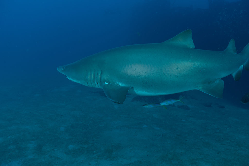 bd8bdedc-748d-497d-811f-93bfa94879c3