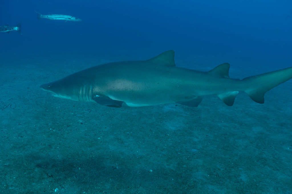 bd8bdedc-748d-497d-811f-93bfa94879c3