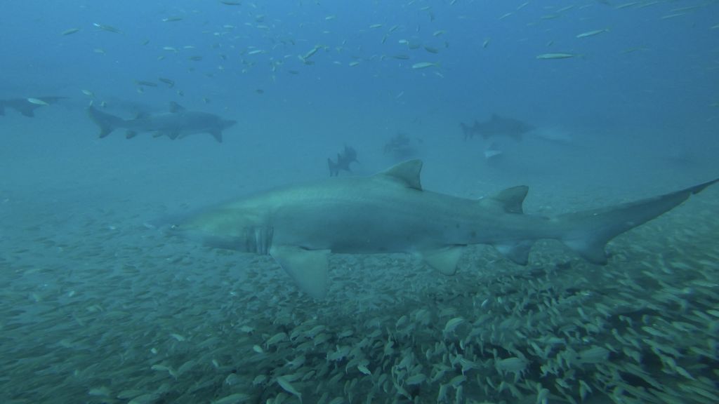 5a373b26-9dd9-428c-a69a-5142df9b0e97